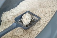 ARENA AGLOMERANTE DE TOFU 2.5K