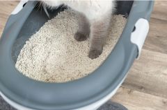 ARENA AGLOMERANTE DE TOFU 2.5K