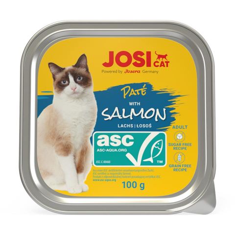 JOSI CAT PATE SALMON 