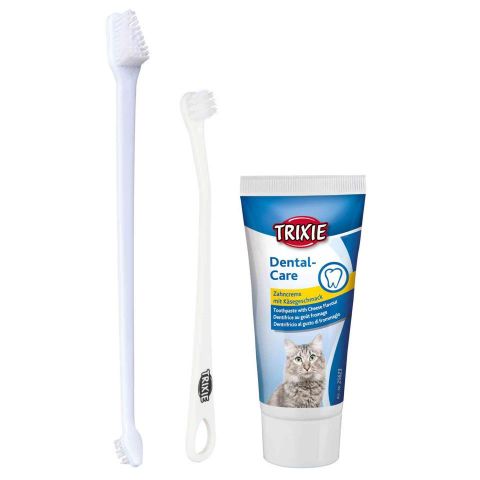 SET HIGIENE DENTAL