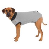 BODY PROTECTOR