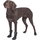 ANDADOR DE PROTECCION DE PATAS ACTIVO