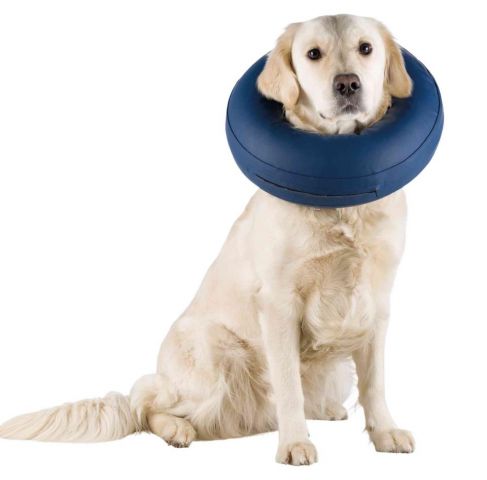 COLLAR PROTECTOR INFLABLE