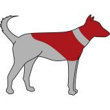 COLLAR PROTECTOR INFLABLE