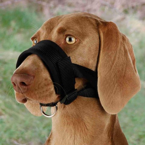BOZAL AJUSTABLE