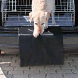 PROTECTOR TRASERO