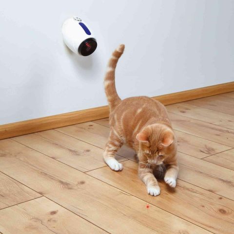 LASER EN MOVIMIENTO