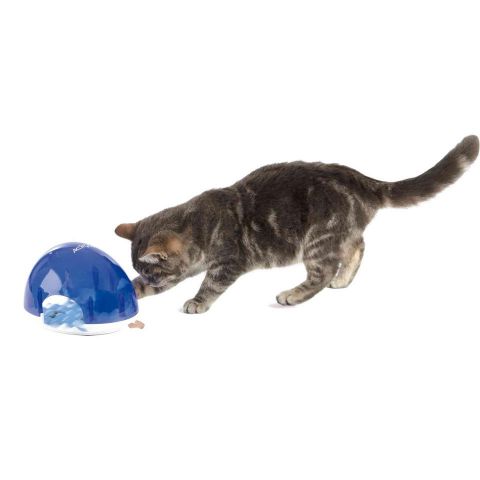 JUEGO INTERACTIVO SNACK BOX GATO