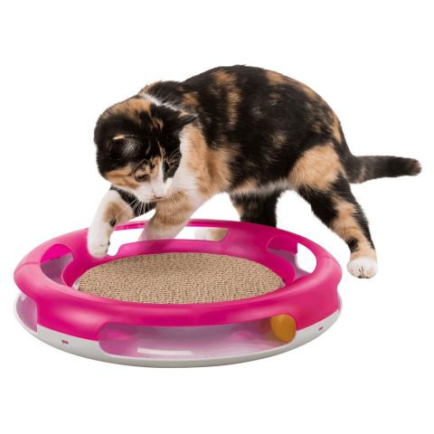 RACE AND SCRATCH JUGUETE PARA GATOS
