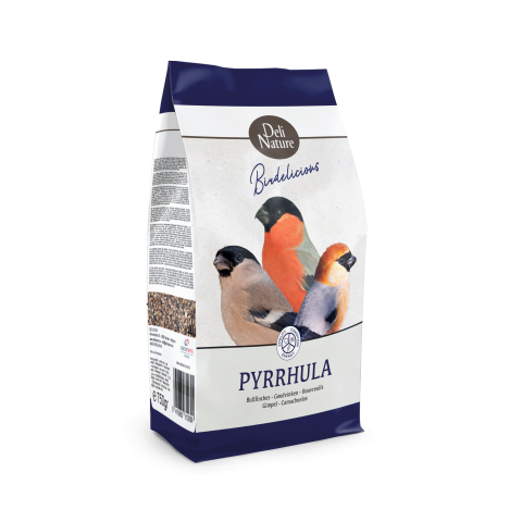 BIRDELICIOUS CAMACHUELOS