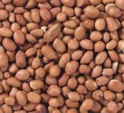 SEMILLAS CACAHUETES PELADOS PREMIUM