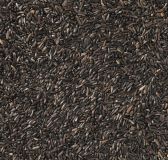 SEMILLAS SEMILLAS DE NEGRILLO PREMIUM